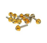 Jeu de vis 12 pièces Capuchon en Aluminium - Or M6 x 30