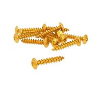 Jeu de vis 12 pièces Revêtement Or - 6 x 30