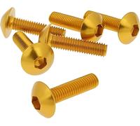 Jeu de vis 6 pièces carénage or - M5x20