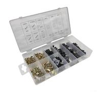 Jeu de vis en U pour panneaux intérieurs automobiles, tableaux de bord et pare-chocs - Kit de fixation en métal de 170 pièces avec pinces en forme de U, quincaillerie de rechange robuste pour