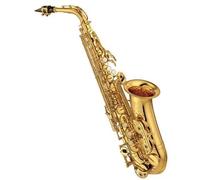 Jeu d'embouts buccaux pour saxophone alto YAMAHA YAS-480 laqué or + étui |...