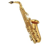Jeu d'embouts buccaux pour saxophone alto YAMAHA YAS-480 laqué or + étui | ex...