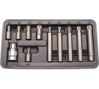 Jeu d'embouts | Entraînement hexagonal externe 10 mm (3/8") | Denture multiple interne (pour XZN) | 11 pcs.