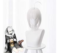 Jeu destin apocrypha Cosplay perruques Reines El Melloi Archisorte Cosplay résistant à la chaleur synthétique perruque cheveux Halloween fête FGO perruques