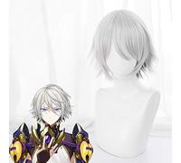 Jeu destin Grand ordre Cosplay perruques Prince de Lanling Cosplay perruque grise résistant à la chaleur perruque synthétique Halloween carnaval fête