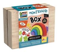 Jeu éducatif - LISCIANI - Montessori Box - La vue - Arc-en-ciel en bois - Couleurs et vision - Activités Montessori