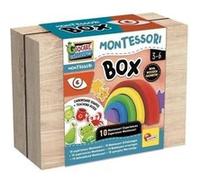Jeu éducatif - LISCIANI - Montessori Box - La vue - Arc-en-ciel en bois - Couleurs et vision - Activités Montessori G