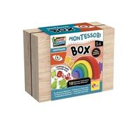 Jeu éducatif - LISCIANI - Montessori Box - La vue - Arc-en-ciel en bois - Couleurs et vision - Activités Montessori