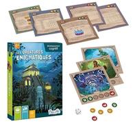 Jeu éducatif - PLACOTE - PLA-37 - Résolution d'énigmes - 88 cartes - 2 à 4 joueurs