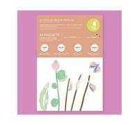 Jeu magnétique cycle de vie du papillon