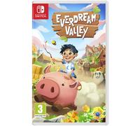 Jeu Nintendo Switch d'Everdream Valley