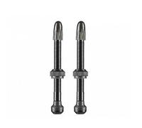 JEU VALVES SCHWALBE TUBELESS 60 mm ALUMINIUM NOIR(2 UNITÉS) - 3471 -