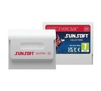 Jeu Vidéo Evercade Sunsoft Collection