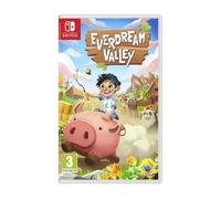 Everdream Valley Nintendo Switch - Neuf