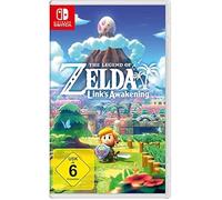 Nin The Legend Of Zelda: Link's Awake 06