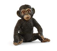 Jeune Chimpanzé
