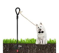 Jeune DE Chien pour Camping HEURD Duty TEPT Out PAEY Payer Dog Ground Anch