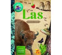 Jeune observateur de la nature en forêt