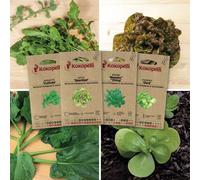 Jeunes pousses - 4 sachets bio