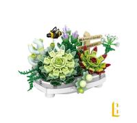 Jeux De Construction - Loz - Les Succulents - - âge : Tout âge Avec Avertissement