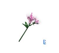 Jeux De Construction - - Rhododendron -