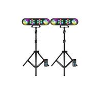 Jeux de lumières, LyteQuest, 2 Packs RAINBOW, Portiques, 2 PAR 14 LEDS de 1W, 2 LED Ball RVB 3W, Mode Audio, Auto, Télécommandes