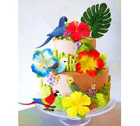 JeVenis Perroquet Décoration de Cupcake d'Oiseau Tropical Fournitures de Fête Perroquet Décoration de Gâteau d'Oiseau Tropical Décoration de Fête d'Anniversaire Perroquet