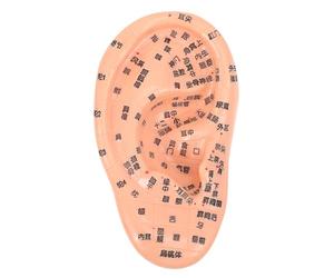 JEWEDECO 1pièce Modèle Oreille Acupuncture Pvc Points Précis et Marqués Outil Pédagogique pour Massage Auriculaire et Réflexologie