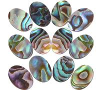 JEWEDECO à Dos Plat Breloques 12pcs en Coquille D'ormeau Différentes pour Fabrication de Bijoux pour Collier et Bracelet