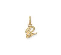 Jewelry Affairs Pendentif en or jaune 10 carats avec lettre initiale, 14 x 10 mm, Petit, Doré, Pas de pierre précieuse