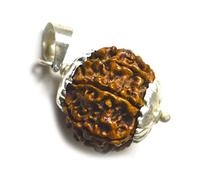 Jewelryonclick Real 5 Mukhi Cinq Visage Rudraksha Pendentif Rudraksh Médaillon en Argent Massif pour La Guérison des Graines