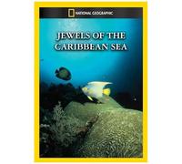 Jewels Of The Caribbean Sea