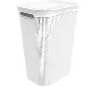 JEXNOVASHOP-rotho. 1023501023 Collecteur de lavage 50l avec couvercle et 2 poignées, Plastique (PP) sans BPA, Gui Blanc, (43,1 x 34 x 52,9 cm)