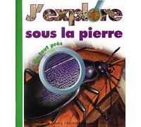 J'explore sous la pierre de tout près