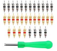JEYORZY Kit de Dépose de Valve de Pneu, 1 pcs extracteur de valv, avec 32 Obus de Valve, Décapsuleur de Valve, extracteur de Noyau de Valve,Outils de Valve de Pneu, Valve Pneu Portable Obus de Valve