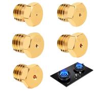 JEYORZY Lot de 5 Gicleur Gaz Butane, 1×0.4mm, 1×0.75mm, 1×0.8mm, 1×1.0mm, 1x1.3mm Gicleur Gaz Bouteille, Gicleur Gaz de Ville, Injecteur Gaz Butane, Buses et Injecteurs pour Bruleur Gaz Gaziniere Gaz