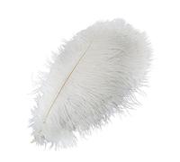 JFBUCF Lot de 10 plumes d'autruche blanches naturelles de 45 à 50 cm pour loisirs créatifs, centres de table, arrangements floraux, décoration de Noël, Nouvel An