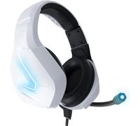 JFKJG-Casque de Jeu pour PC et Consoles de Jeu PS5, PS4, Xbox Series X S, Xbox One, Nintendo Switch et Google Stadia - Son stéréo avec Micro antibruit - Hornet RXH-20 Édition Siberia