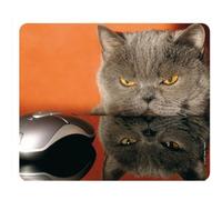 JGD-CHAT ET SOURIS Tapis de souris animal drôle - avec de qualité en caoutchouc spécial extrêmement résistant à la déchirure et une face inférieure fortement adhésive pour une tenue optimale