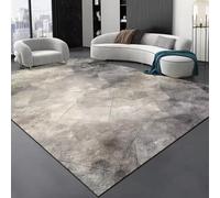 JGGXHM Tapis Abstrait pour Salon, Table Basse, canapé, Tapis de Sol antidérapant et Lavable, décoration de Chambre, Tapis de Bureau (100 x 150 cm)