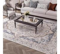 JGGXHM Tapis Lavable pour Salon, Tapis Doux pour Chambre, Design Vintage, Envers antidérapant, ne Peluche Pas (100 x 160 cm)