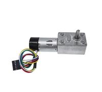 JGY-370NB DC Motor With 11PPR Hall Encoder High Torque DC 6V 12V 24V Worm Gear Motor(6RPM_24V)