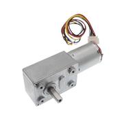 JGY370 - moteur à engrenage à vis sans fin DC 6V 12V 24V, 6-150 tr/min, moteur à engrenage Turbo réversible à couple élevé(40 RPM,24V)