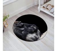 JHAOUNUK Tapis de Bain Antiderapant en Microfibre Douce,Tapis de Salle de Bain Lavable en Machine,Argent Animal Gorille Gris en Danger Triste Bébé Retour Faune King Kong,60x60cm