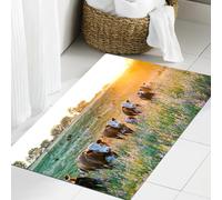 JHAOUNUK Tapis de Bain Antiderapant en Microfibre Douce,Tapis de Salle de Bain Lavable en Machine,Bétail Vache Nebraska Bovins Hereford Coucher de Soleil Nature Campagne Parcs F,60x90cm