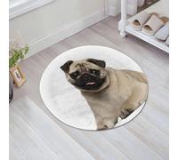 JHAOUNUK Tapis de Bain Antiderapant en Microfibre Douce,Tapis de Salle de Bain Lavable en Machine,Carlin, Chiot Carlin de Neuf Mois couché Autour de la Copie de l'animal drôle,60x60cm