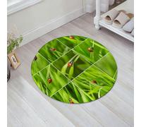 JHAOUNUK Tapis de Bain Antiderapant en Microfibre Douce,Tapis de Salle de Bain Lavable en Machine,Coccinelle, Coccinelle sur l'herbe fraîche Collection Collage divisé Vibrant L,60x60cm