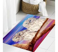 JHAOUNUK Tapis de Bain Antiderapant en Microfibre Douce,Tapis de Salle de Bain Lavable en Machine,Couple de Chouettes cendrées Contre Le Ciel au Coucher du Soleil,60x90cm