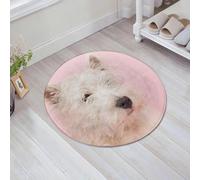 JHAOUNUK Tapis de Bain Antiderapant en Microfibre Douce,Tapis de Salle de Bain Lavable en Machine,Collier pour bébé Chien Rose West Highland White Terrier Westie Westy Animal Ca,60x60cm