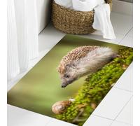 JHAOUNUK Tapis de Bain Antiderapant en Microfibre Douce,Tapis de Salle de Bain Lavable en Machine,Hérisson, Photographie Animalière en Europe de l'est Limace avec Na Scènes de h,60x90cm
